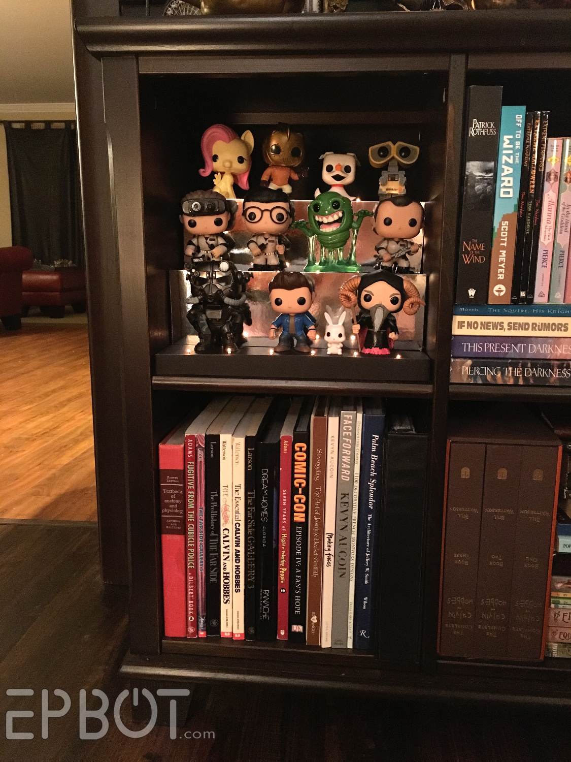 Best bookshelf 2024 for funko pops